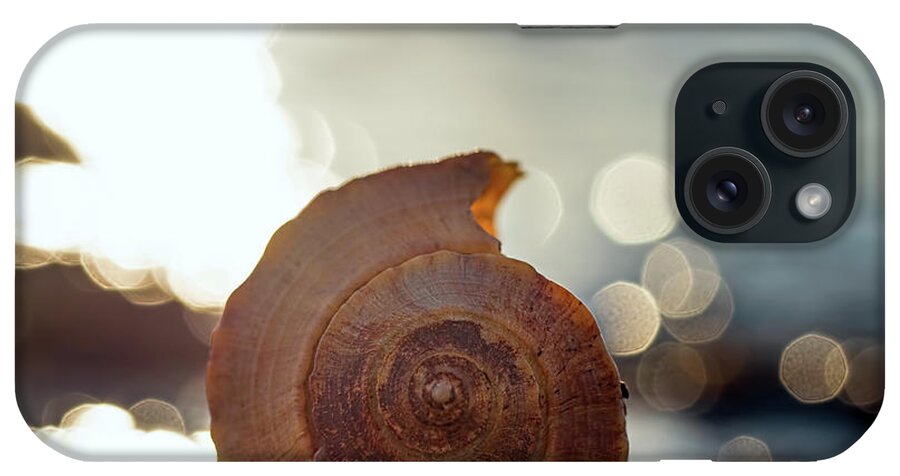 Seashell iPhone Case featuring the photograph Seashell Bokeh by Brad Boland