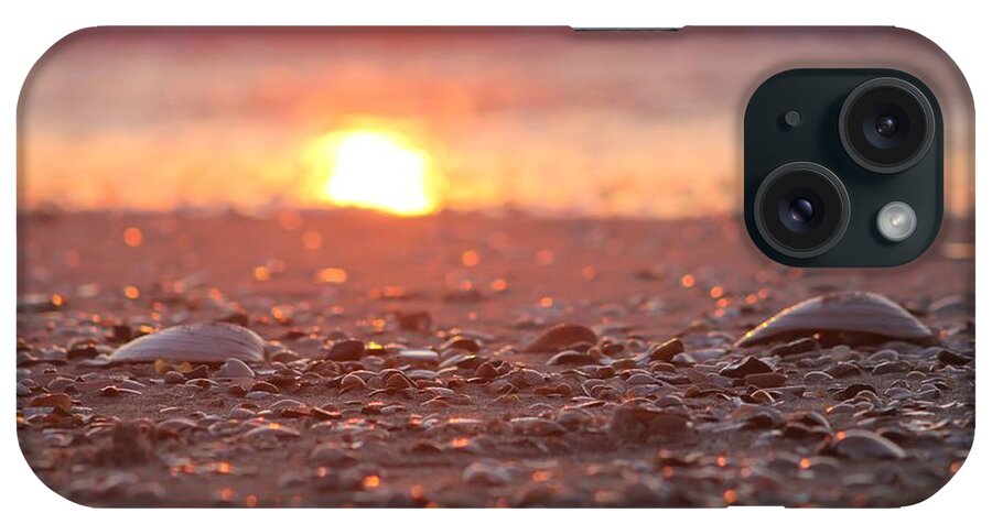 Seashells iPhone Case featuring the photograph Seashells Suns Reflection by Robert Banach
