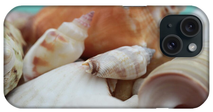 Connie Handscomb iPhone Case featuring the photograph Seaside Seashells by Connie Handscomb