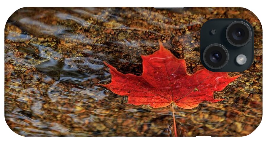 Fall iPhone Case featuring the photograph Seasons by Rob Davies