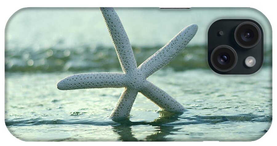 Laura Fasulo iPhone Case featuring the photograph Summer Seastar Square by Laura Fasulo