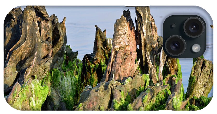 Jekyll Island iPhone Case featuring the photograph Seaweed-Covered Beach Stump Mountain Range by Bruce Gourley