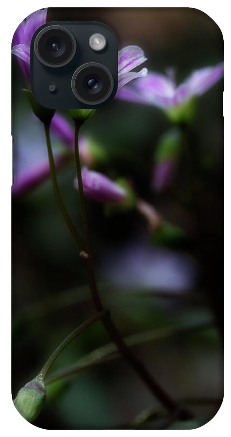 Pink Flowers iPhone Case featuring the photograph Seek The Light by Mike Eingle