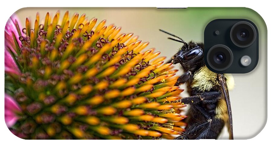 Bee iPhone Case featuring the photograph Seeking Nectar by Brad Boland