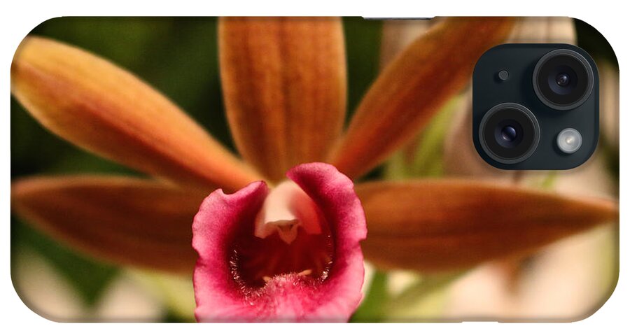 Flower iPhone Case featuring the photograph Seeking Pollinators by Susan Herber