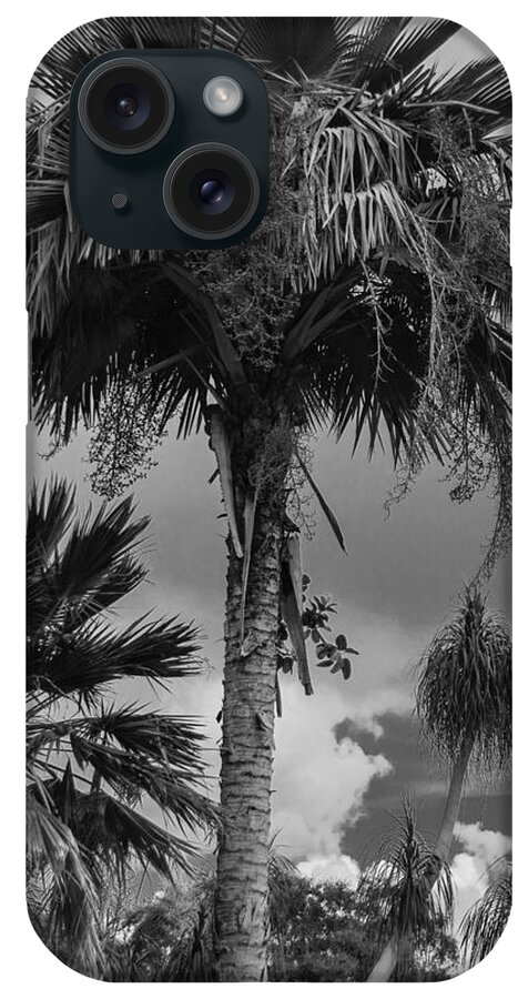 iPhone Case featuring the photograph Selby Garden Palms by Susan Molnar