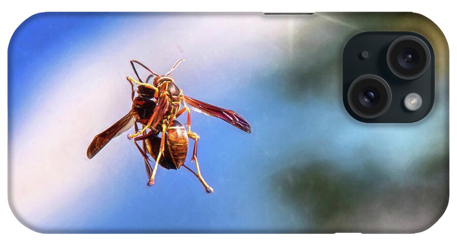 Wasp iPhone Case featuring the photograph Self Reflection by Sharon McConnell