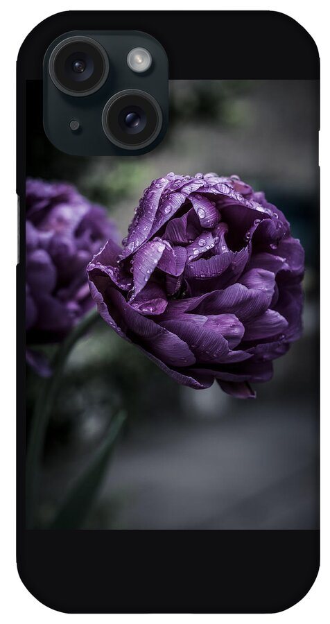 Macro iPhone Case featuring the photograph Sensational Dreams by Miguel Winterpacht