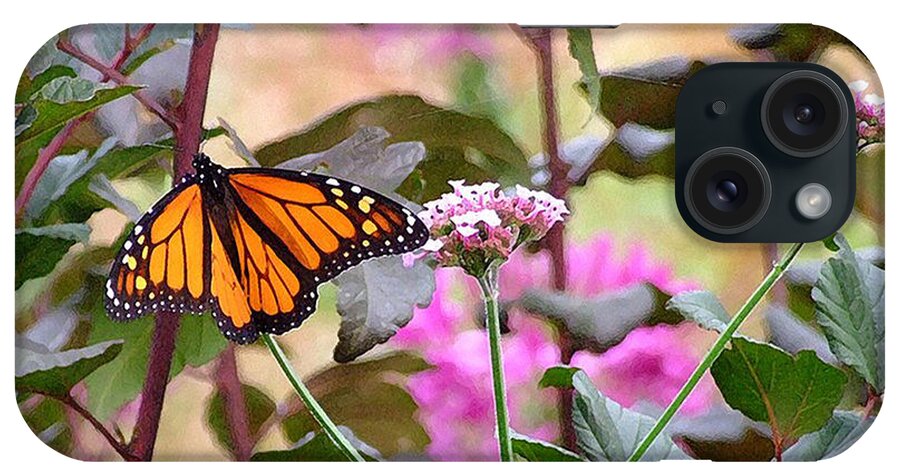 Monarch Butterfly iPhone Case featuring the photograph September Monarch by Janis Senungetuk