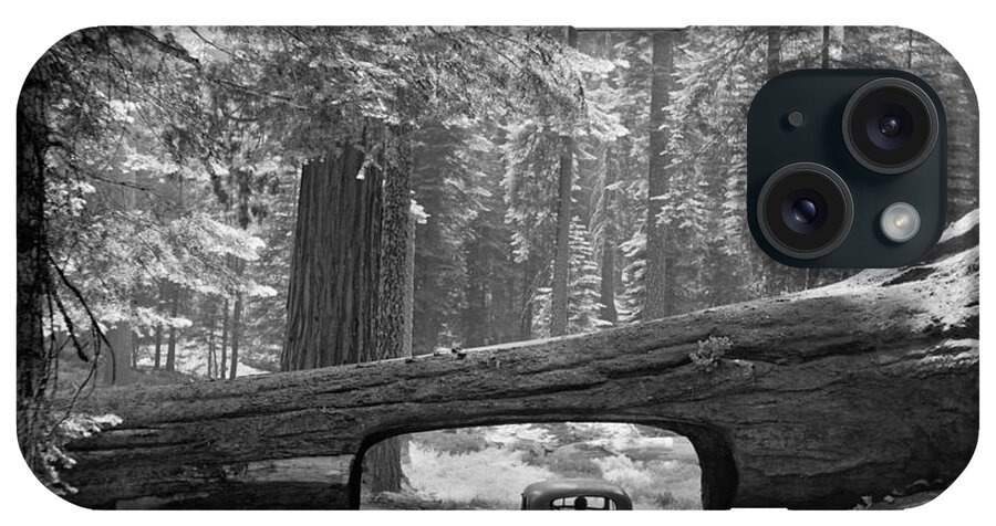 1957 iPhone Case featuring the photograph Sequoia National Park by Granger