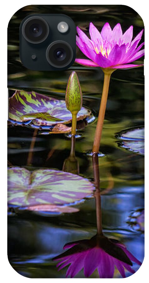 Water Lily iPhone Case featuring the photograph Serenity by Louise Lindsay