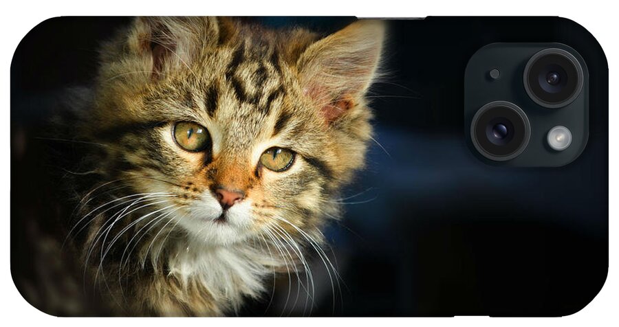 Cat iPhone Case featuring the photograph Serious cat portrait by Rumiana Nikolova