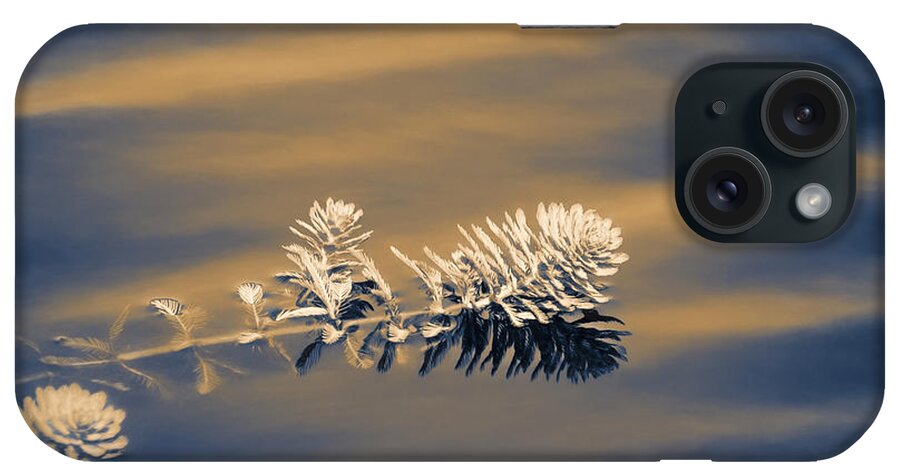 Water iPhone Case featuring the photograph Set Apart by Carolyn Marshall