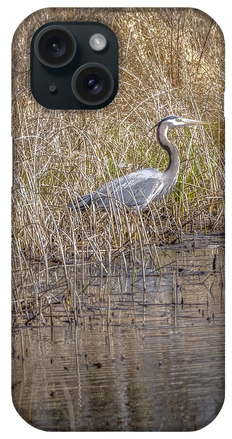 Wildlife iPhone Case featuring the photograph Seven Ponds Nature Center Blue Heron by LeeAnn McLaneGoetz McLaneGoetzStudioLLCcom
