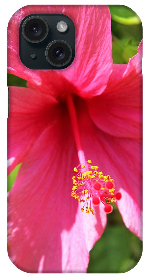 Hibiscus iPhone Case featuring the photograph Shades of Pink - Hibiscus by Kerri Ligatich