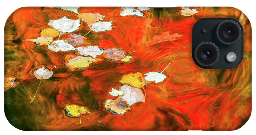 Fall iPhone Case featuring the photograph Shadow of the Red Dragon by Tom Cameron