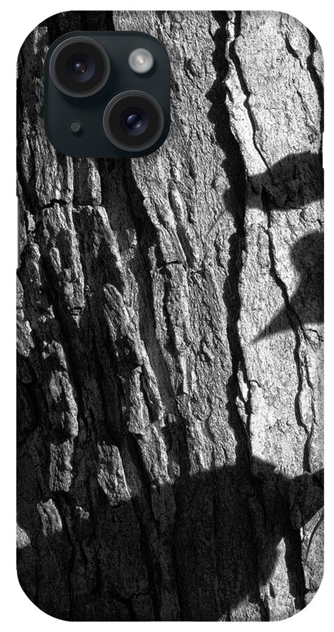Abstract iPhone Case featuring the photograph Shadows and Bark by Richard Rizzo