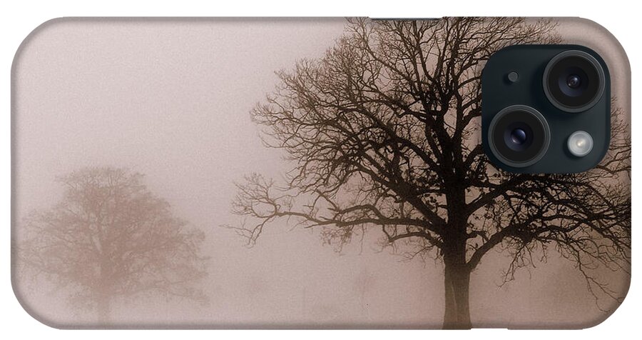 Tree iPhone Case featuring the photograph Shadows in the Fog by Linda Mishler