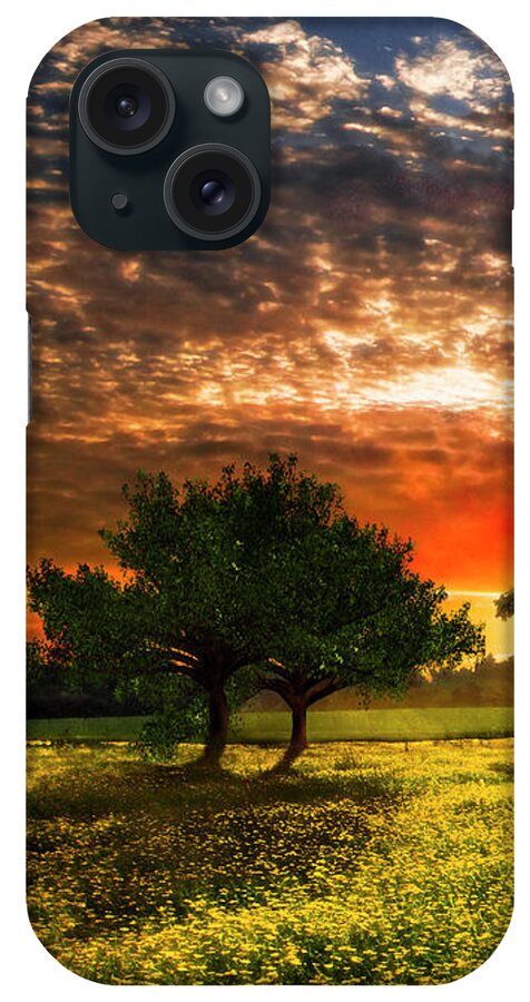 Barn iPhone Case featuring the photograph Shadows in the Meadow Left of the Triple by Debra and Dave Vanderlaan