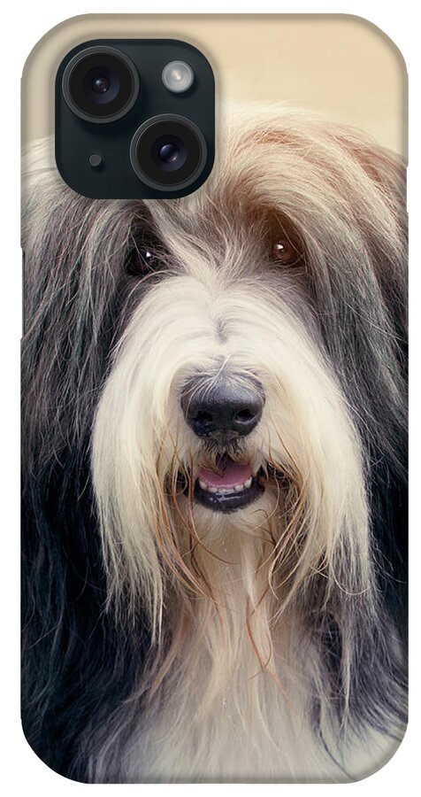 Dog iPhone Case featuring the photograph Shaggy Dog by Ethiriel Photography