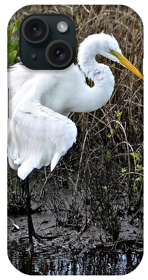 Egret iPhone Case featuring the photograph Shake It All About by Carol Bradley