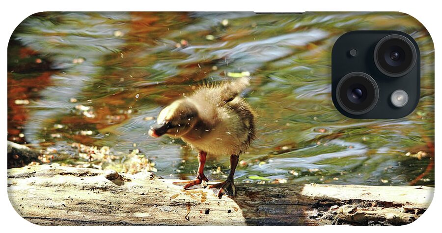 Duck iPhone Case featuring the photograph Shake It Off I by Debbie Oppermann