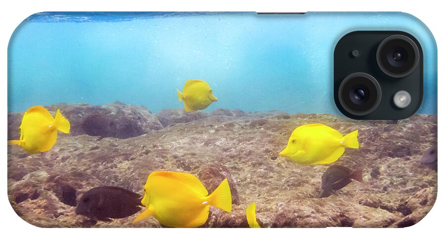 Underwater iPhone Case featuring the photograph Shallow Fish by Daniel Murphy