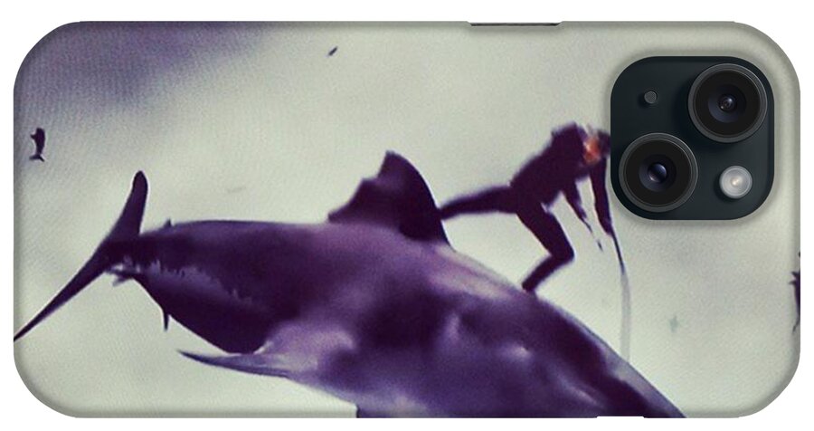 Sharks iPhone Case featuring the photograph #sharknado #sharknado2 #bmovie #movie by Abdurrahman Ozlem