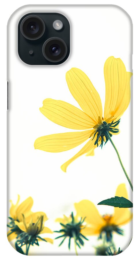 2015 iPhone Case featuring the photograph She will bring out the best by Wade Brooks