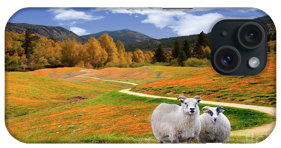Sheep iPhone Case featuring the photograph Sheep and Road Ver 3 by Larry Mulvehill