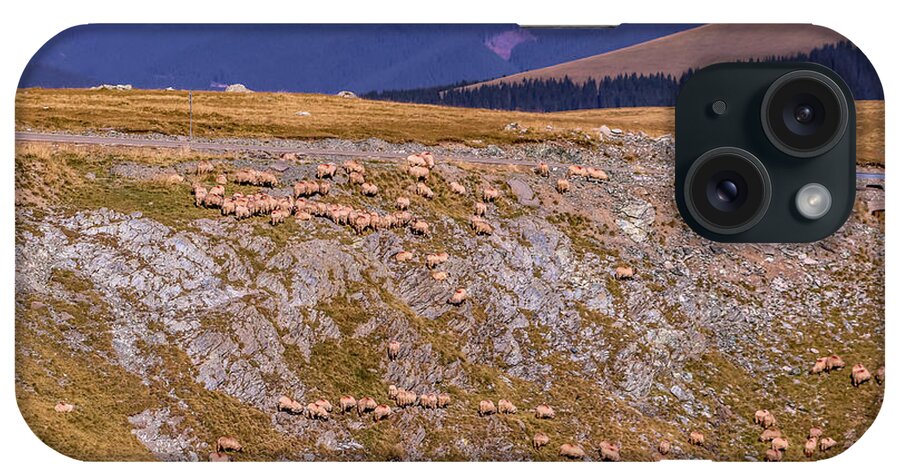 Mountain iPhone Case featuring the photograph Sheep grazing on the mountain side by Claudia M Photography