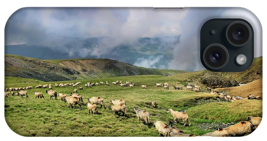 Sheep iPhone Case featuring the photograph Sheep in Carphatian Mountains by Daliana Pacuraru