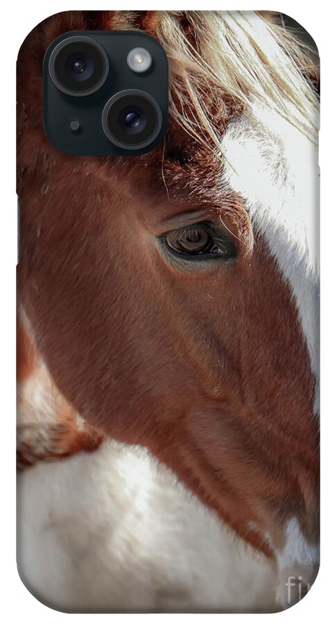Horses iPhone Case featuring the photograph Shelby Farms Horses by Veronica Batterson