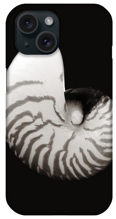 76-pfs0006 iPhone Case featuring the photograph Shell on Black IV by Bill Brennan - Printscapes