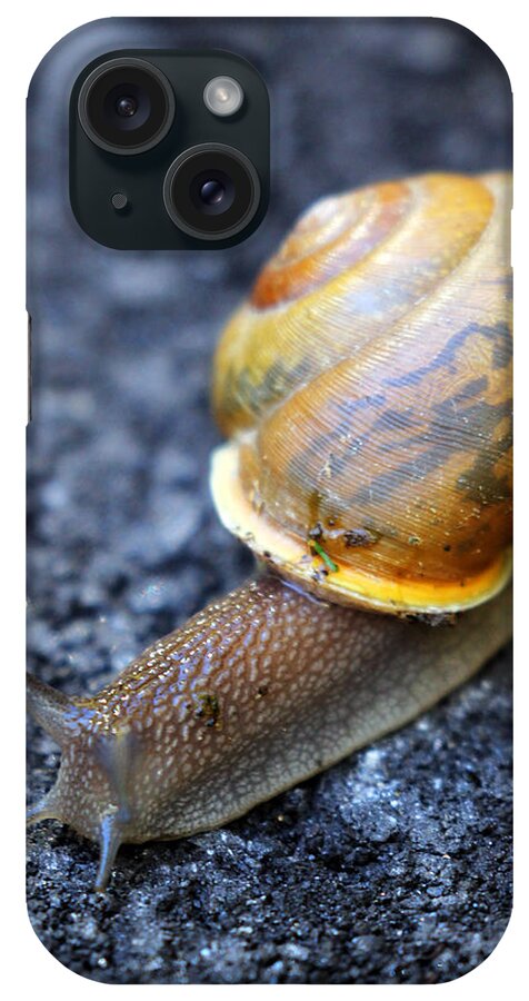 Snail iPhone Case featuring the photograph Shell Shock by Jennifer Robin
