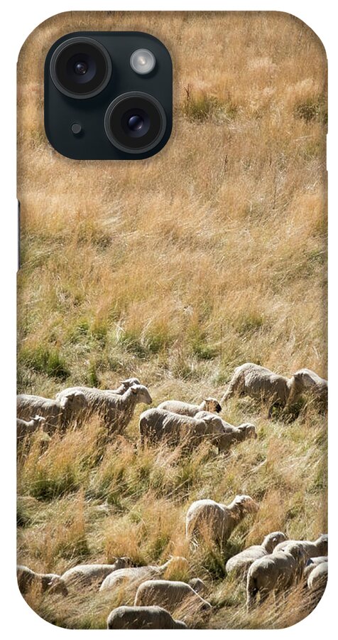 Landscapes iPhone Case featuring the photograph Shepherd Tending Sheep in Colorado by Mary Lee Dereske