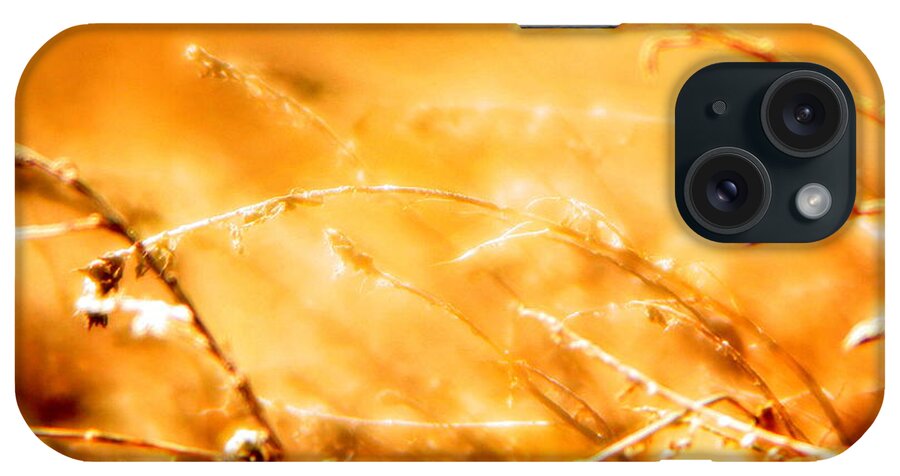 Grass iPhone Case featuring the photograph Shimmer by Julie Lueders 