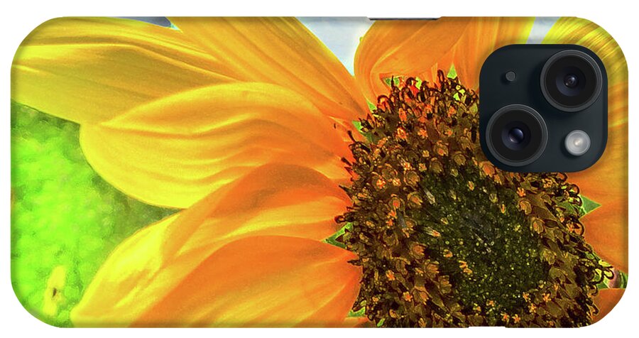 Flowers iPhone Case featuring the photograph Shining In The Sun by John Anderson