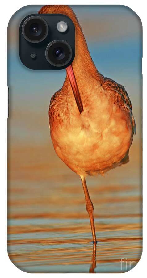 Marbled Godwit iPhone Case featuring the photograph Solitude #2 by John F Tsumas