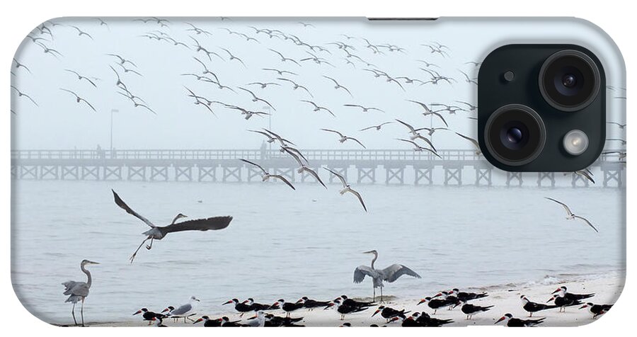 Shorebirds-flying Birds-at The Beach iPhone Case featuring the photograph Shorebirds by Scott Cameron