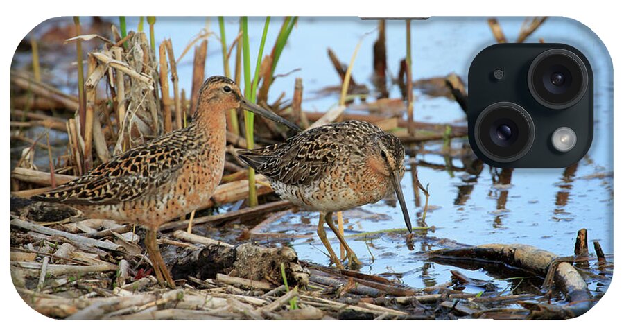 Gary Hall iPhone Case featuring the photograph Short-billed Dowitchers by Gary Hall