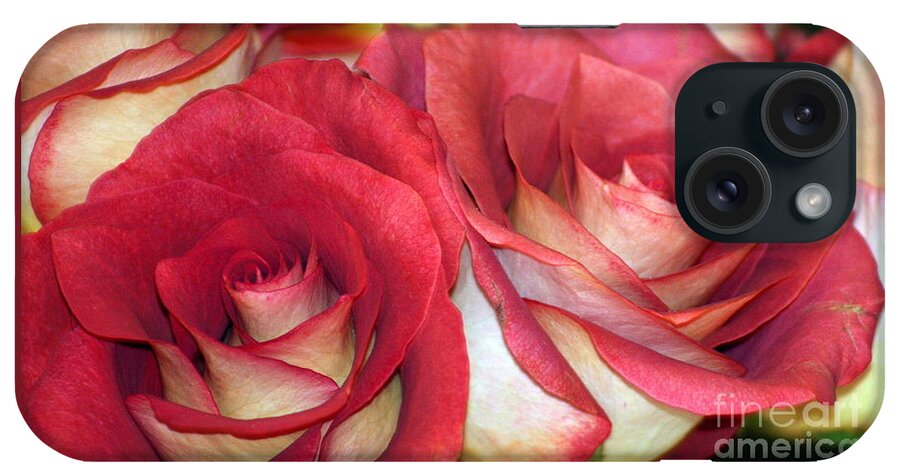 Flower iPhone Case featuring the photograph Shoshana by Jody Frankel 