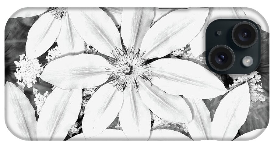 Clematis iPhone Case featuring the photograph Showy Clematis BW by Jack Torcello