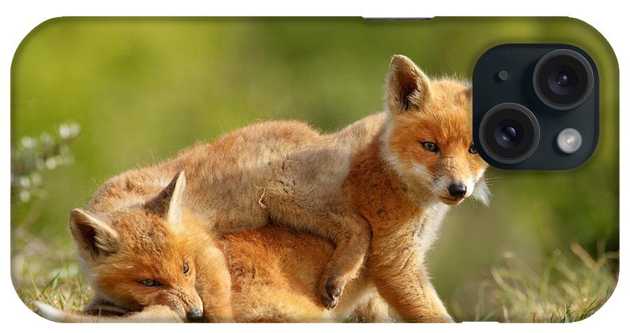 Red Fox iPhone Case featuring the photograph Sibbling Love - Playing Fox Cubs by Roeselien Raimond