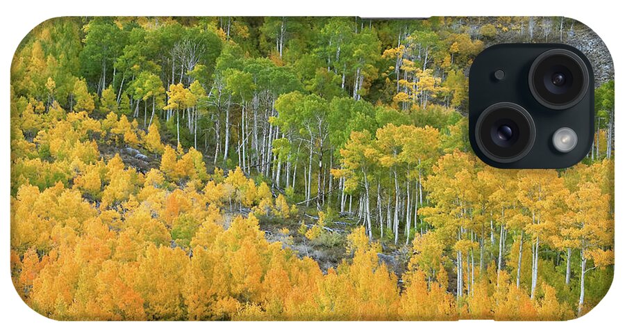Sierra Fall Colors iPhone Case featuring the photograph Sierra Autumn Colors by Ram Vasudev