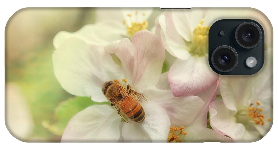 Appleblossoms iPhone Case featuring the photograph Signs Of Spring by Sue Capuano