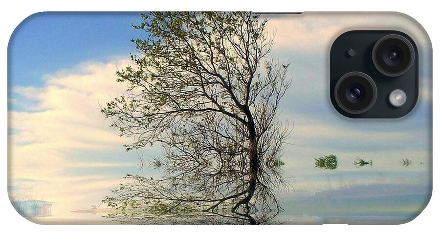 Tree iPhone Case featuring the photograph Silence by Elfriede Fulda