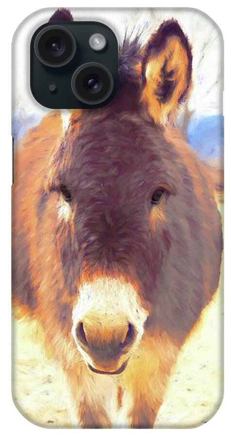 Donkey iPhone Case featuring the photograph Silent Approach by Jennifer Grossnickle