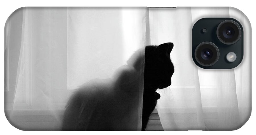 Black Cat iPhone Case featuring the digital art Silhouette by Dianne Morgado