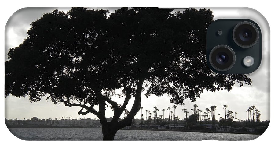 Mission Bay iPhone Case featuring the photograph Silhouette of Tree by Bridgette Gomes